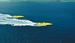 Neon Hornet Mono Speedboot 345mm 2,4GHz RTR -Modellauto Deutschland Verkaufs-Shop 26090 07